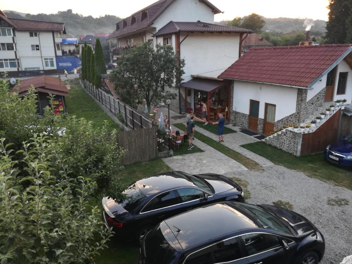 Farm stay Pensiunea Dandu