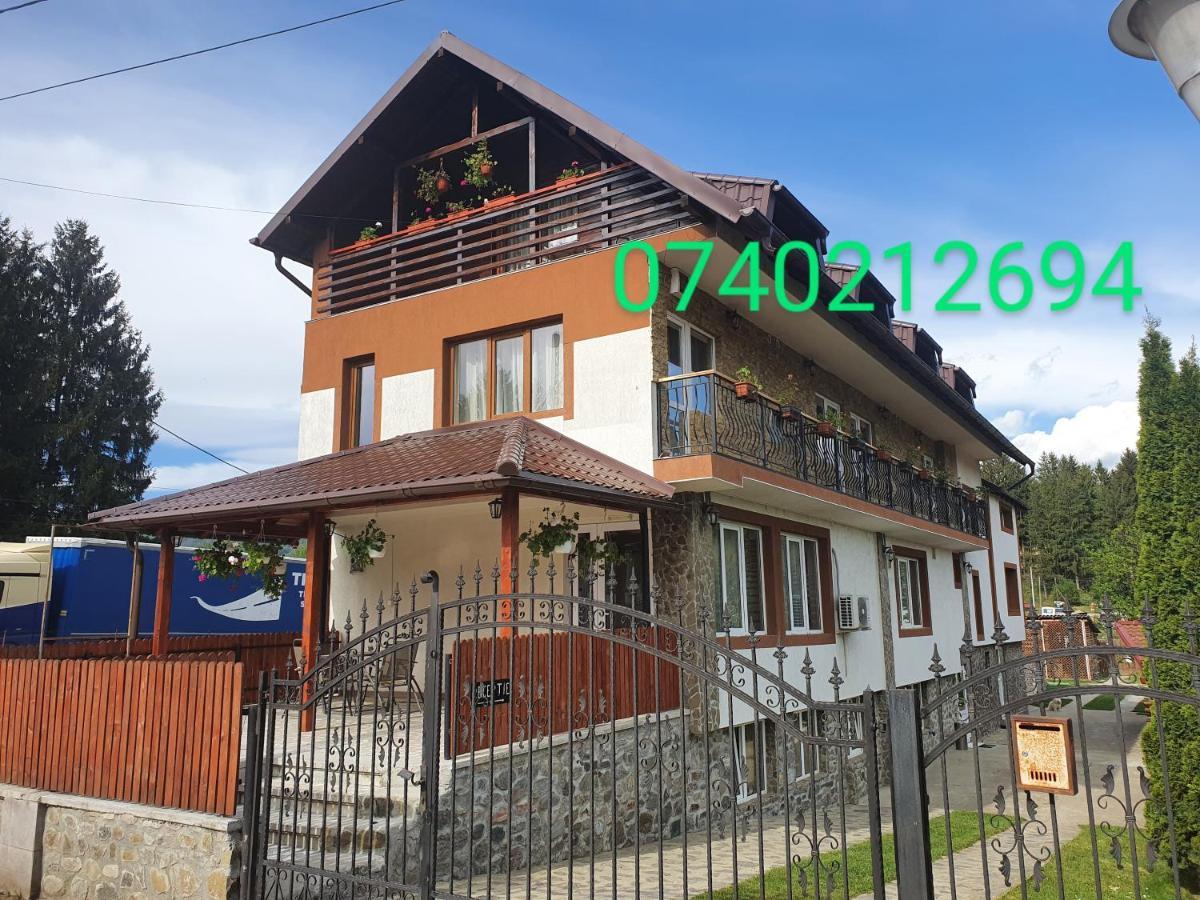 Pensiunea Dandu Farm stay *