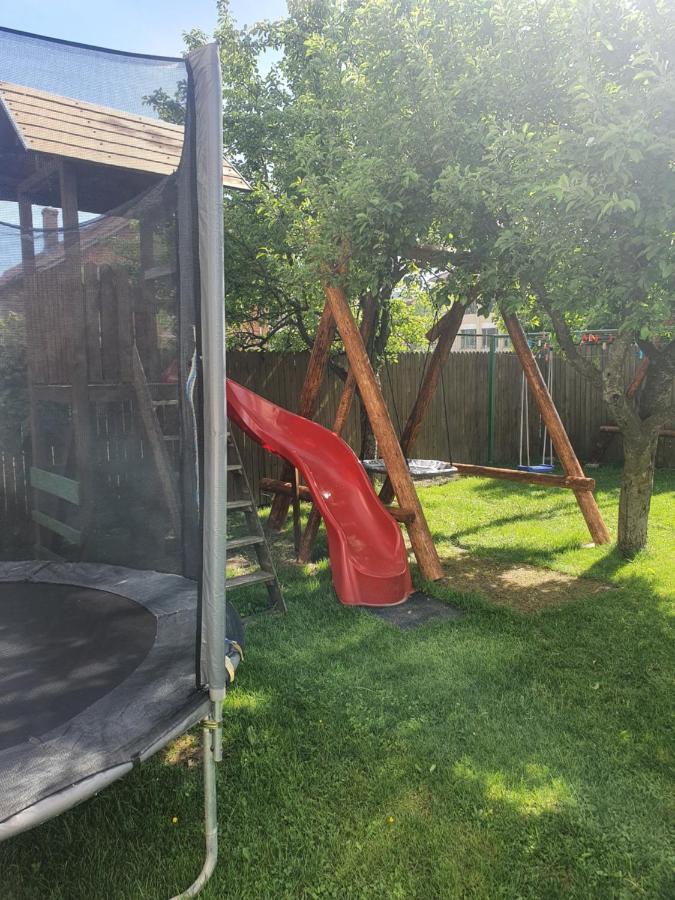 Pensiunea Dandu Farm stay *