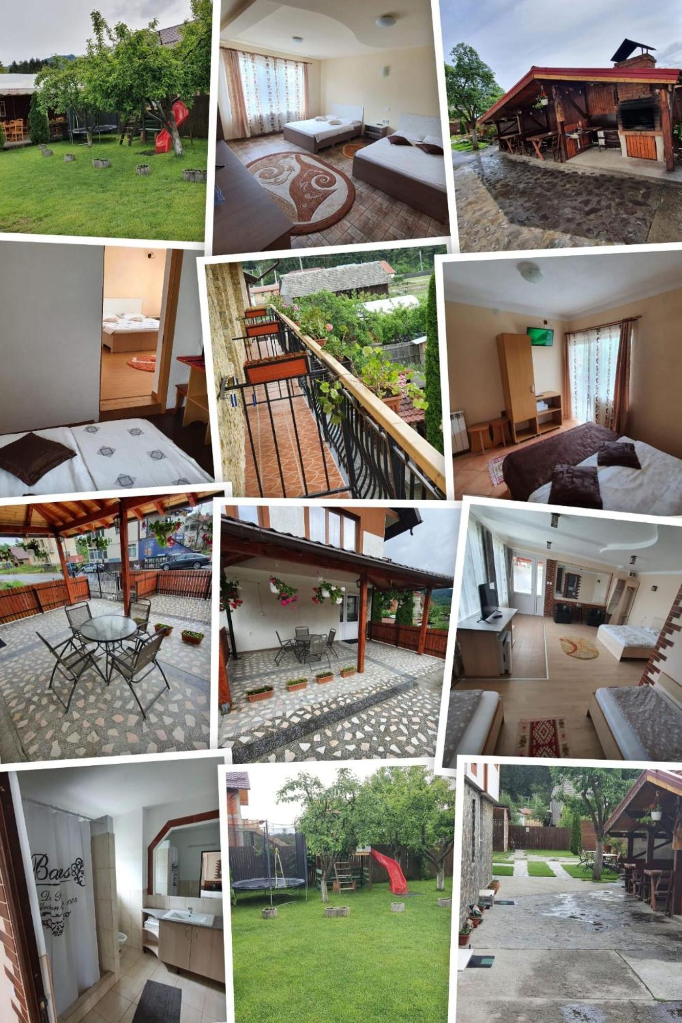 Pensiunea Dandu Farm stay *