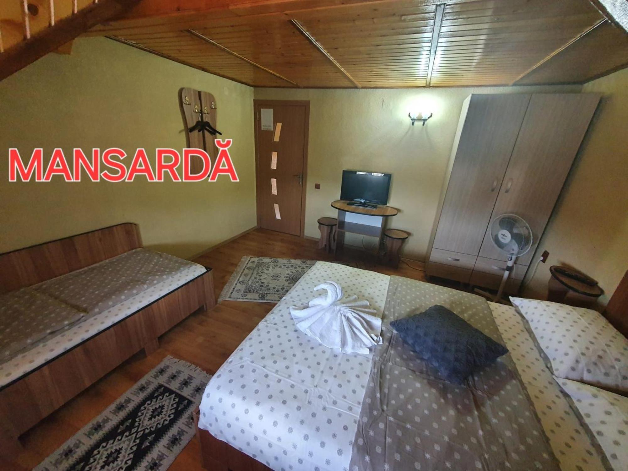 Pensiunea Dandu Farm stay *
