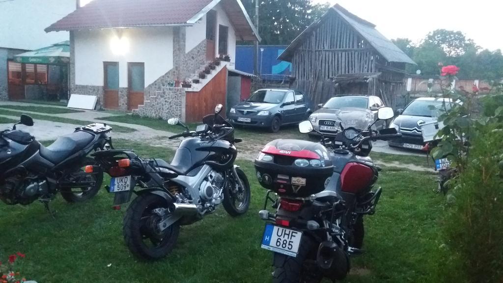 Pensiunea Dandu Farm stay *