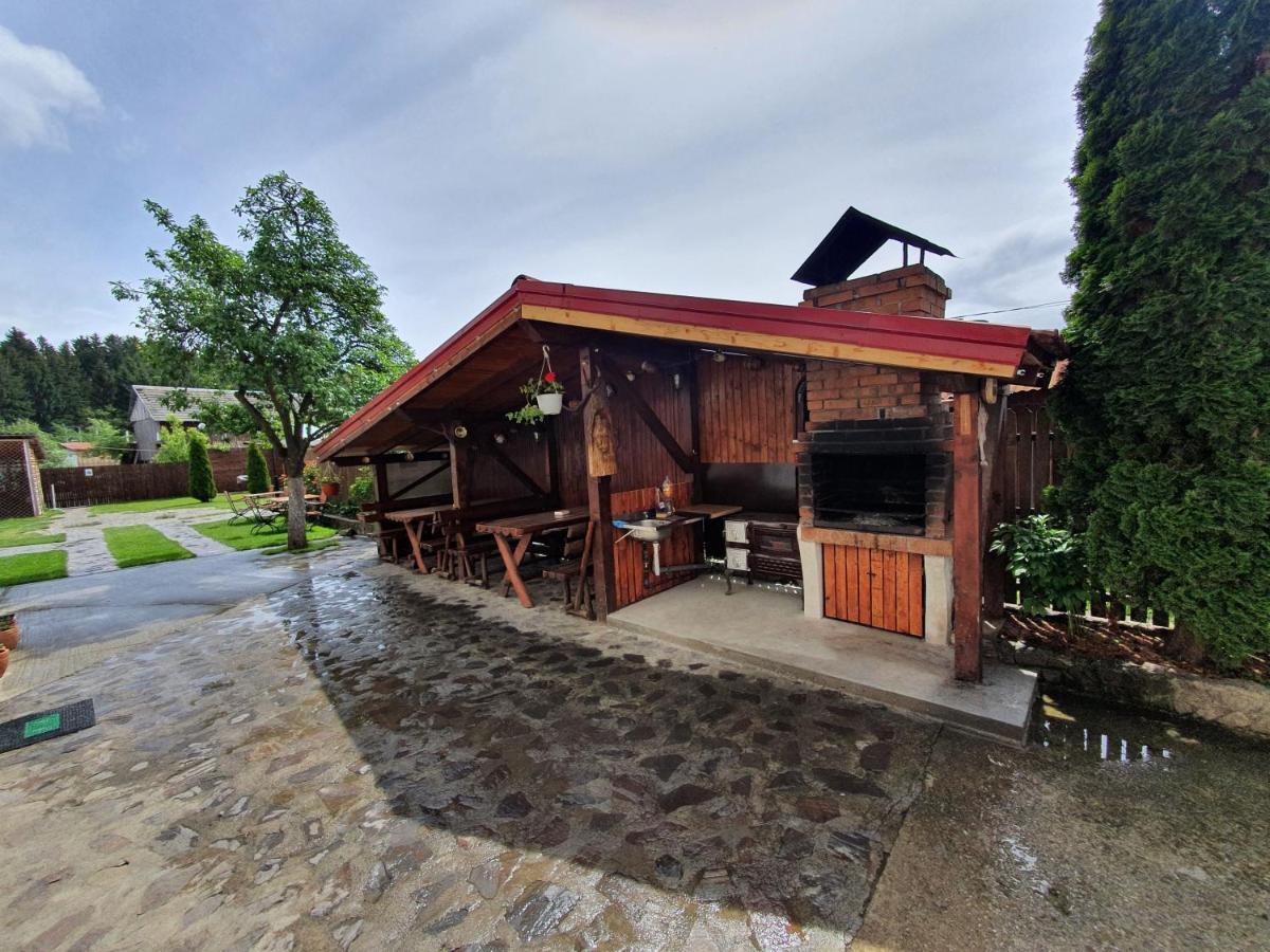 Farm stay Pensiunea Dandu *