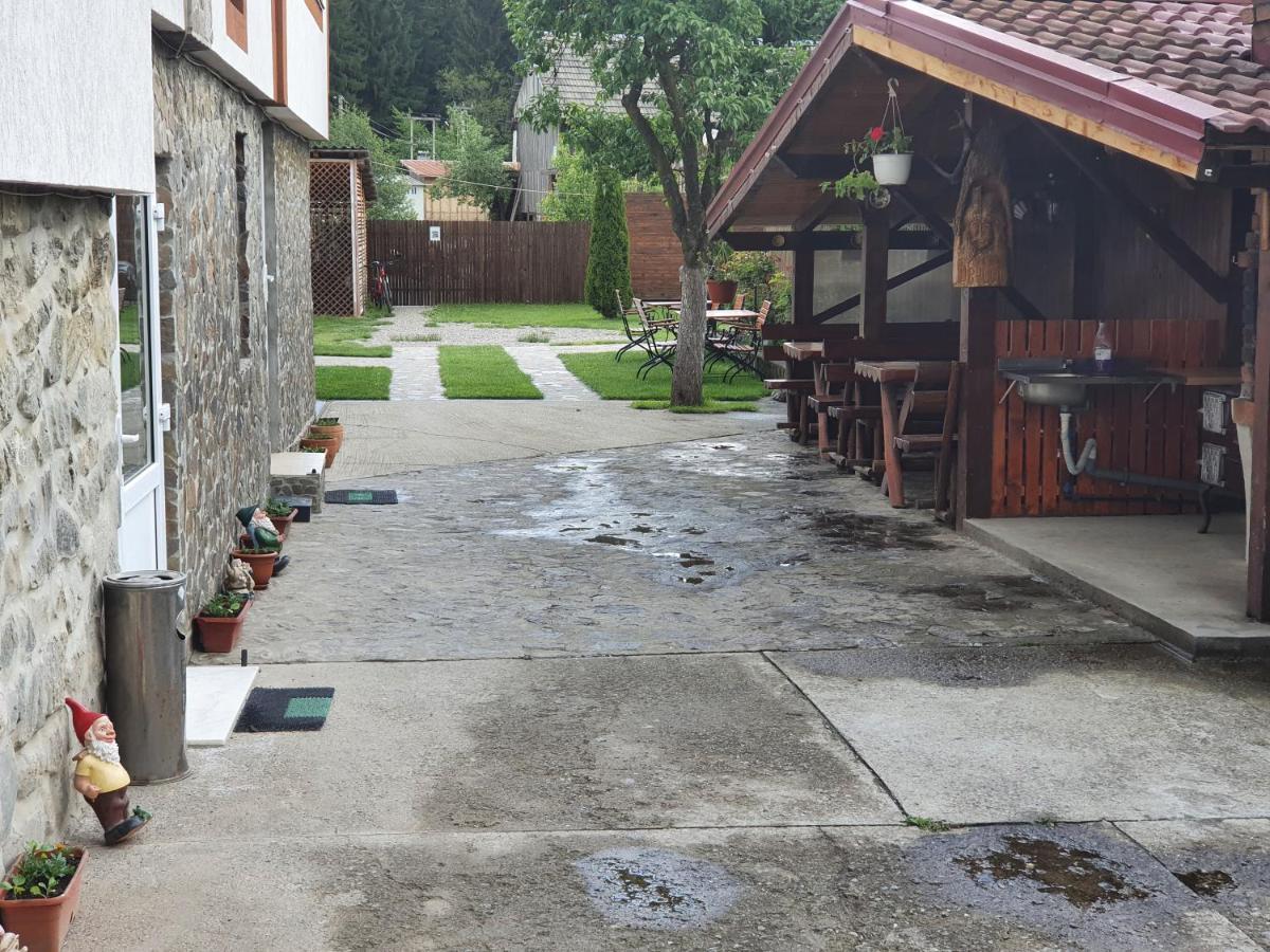 Farm stay Pensiunea Dandu