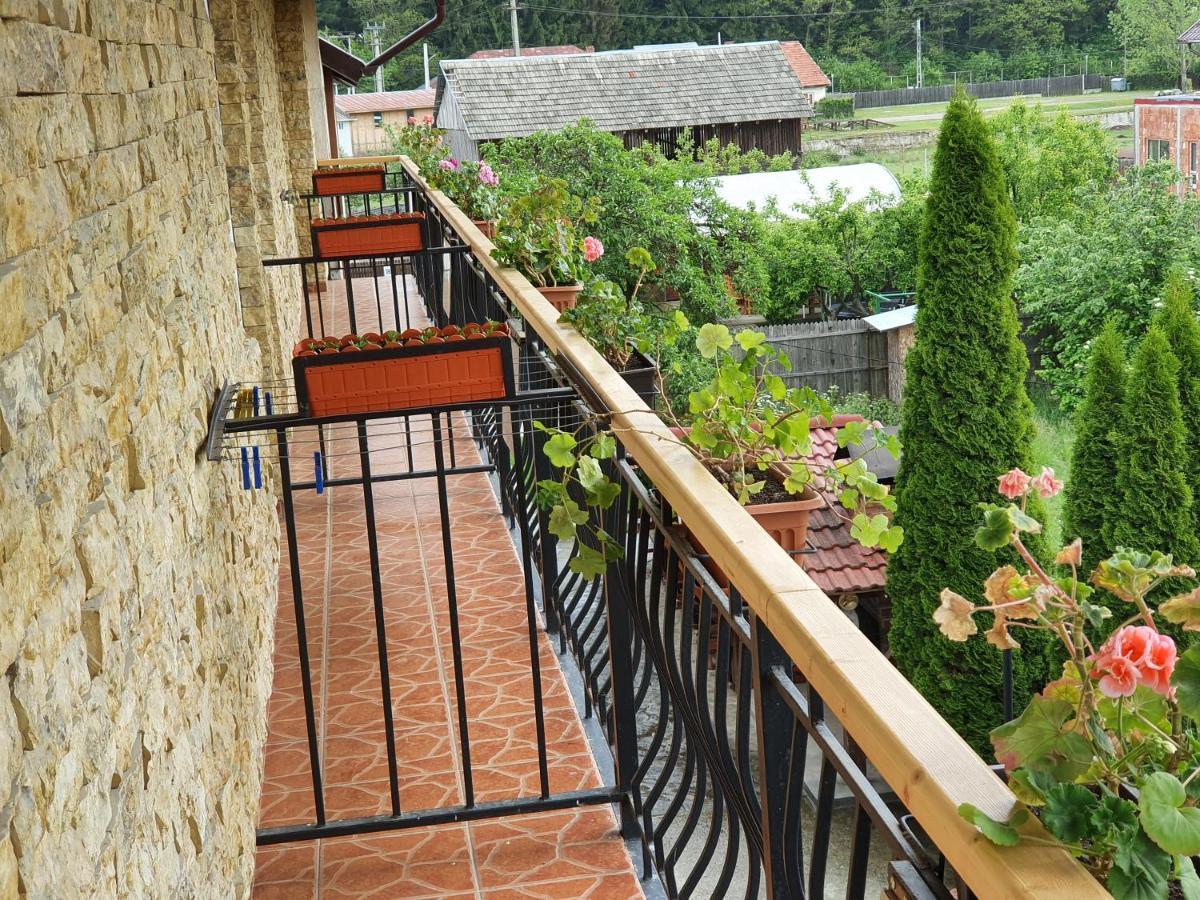 Pensiunea Dandu Farm stay